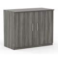 Fine-Line Medina Storage Cabinet, Gray Steel - 29.5 x 36 x 20 in. FI2489065